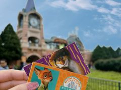 -上海迪士尼度假区