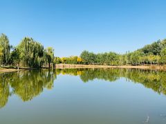 -东郊湿地公园