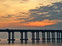 -宝安西湾红树林湿地公园