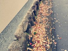 -醍醐寺