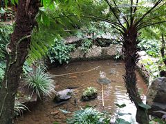 -广州市石门国家森林公园