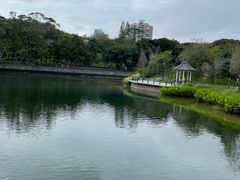 -四海公园(南山区)