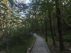 -大连金龙寺国家森林公园-售票处