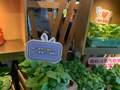 -番食园鲜食火锅(高新店)