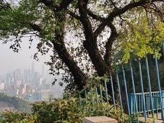 -广州市白云山风景名胜区