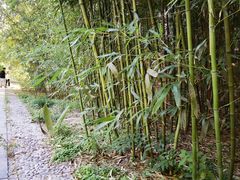 -香山公园