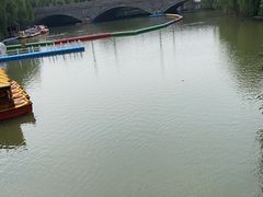 -洛阳市隋唐城遗址植物园