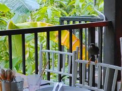 -植物园哈利亚餐厅