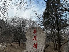 -北京凤凰岭