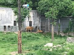 -西安秦岭野生动物园