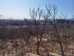 -白水寺森林公园