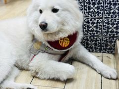 -OZ cafe(南昌路店)