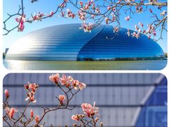 -国家大剧院