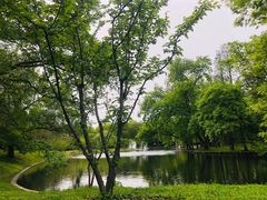 -上海共青森林公园