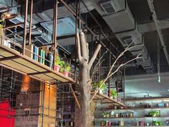 -同仁四季椰子鸡(宝安壹方城店)