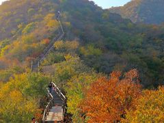 -大岭沟猕猴桃谷风景区