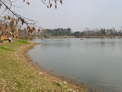 -三圣花乡旅游区