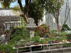 -凤凰寺