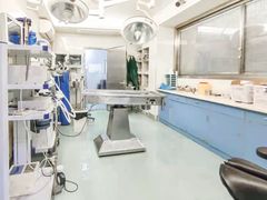 -动物缘宠物医院·骨科·猫科(西二环店)