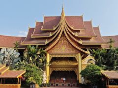 -西双版纳原始森林公园