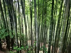 -径山寺