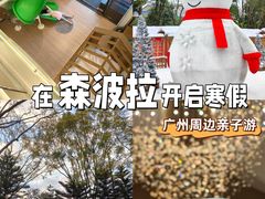 -佛冈森波拉度假区