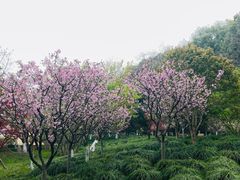 -上海方塔园