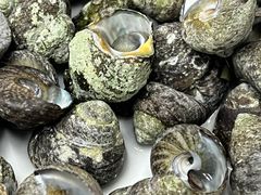 -湛江海鲜餐厅