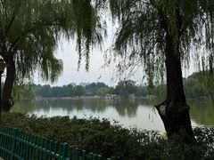 -达活泉公园