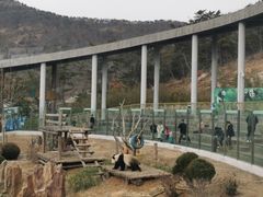 -大连森林动物园