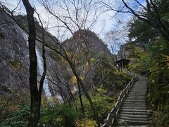 -朱雀国家森林公园
