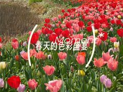 -圩墩遗址公园