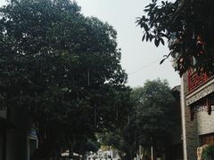 -龙潭水乡