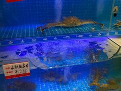 -阿毛饭店(和义路店)