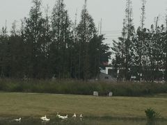 -两河城市森林公园