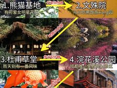 -成都大熊猫繁育研究基地