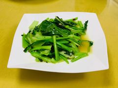 -煲来饱去冷水鱼