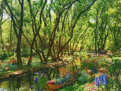 -上海共青森林公园