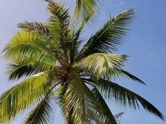 -三亚南山文化旅游区