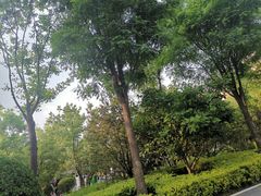 -迎泽公园