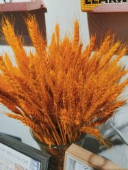 -美画·轻奢美甲美睫