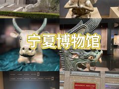 -宁夏博物馆