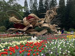-深圳仙湖植物园