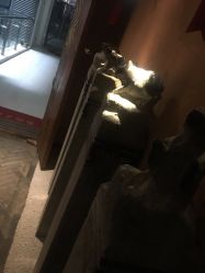 -琦品高端美容SPA私佳美场