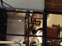 -醉炫音速烧烤·干煸菜(沙河总店)