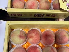 -南汇水蜜桃采摘(大团店)
