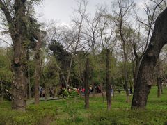 -长春市南湖公园