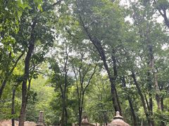 -北京上方山国家森林公园