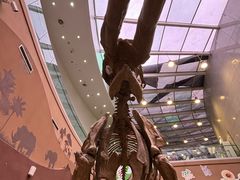 -陕西自然博物馆