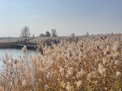 -野鸭湖国家湿地公园